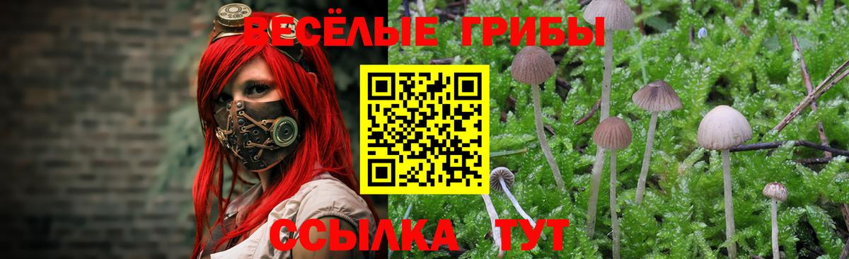 Самара  Псилоцибиновые грибы мицелий  Вход с VPN 
