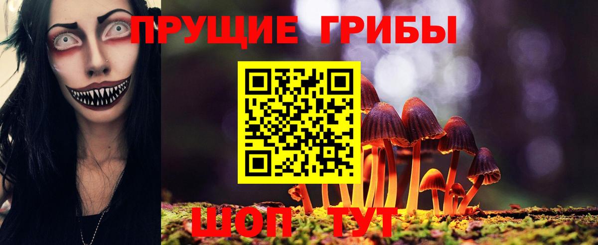 Псилоцибиновые грибы Psilocybine cubensis Самара